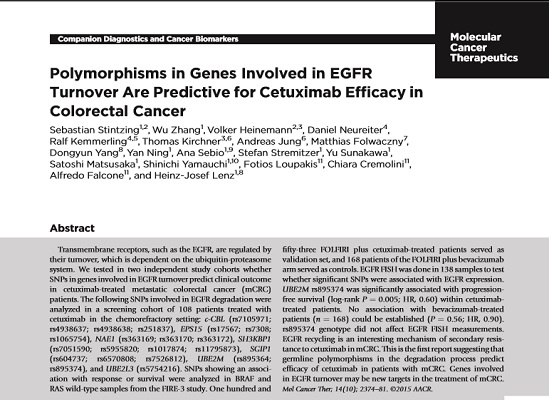 Polymorphisms in genes involved in EGFR turnover are predictive for cetuximab efficacy in colorectal cancer