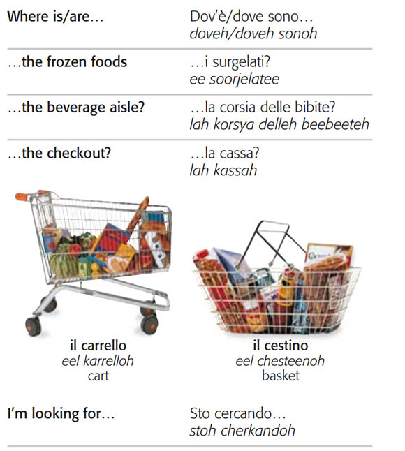 کتاب تصویری لغات و جملات ایتالیایی