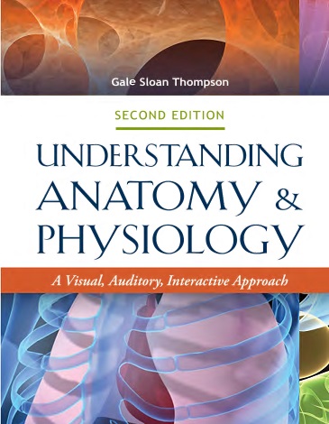 Workbook to Accompany Understanding Anatomy & Physiology