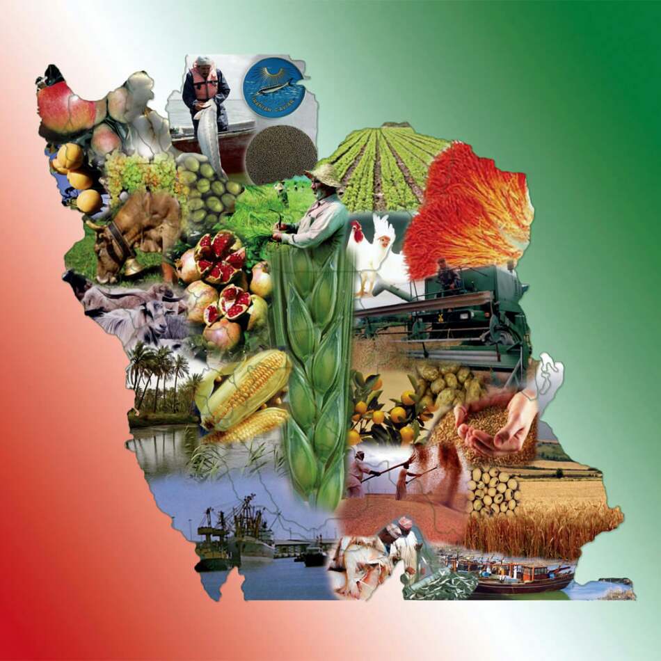 دانلود پاورپوینت خصوصی سازی در بخش کشاورزی ایران