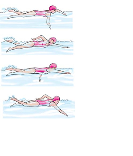 تحقیق درس تربیت بدنی با موضوع شنا و نجات غریق- 133 صفحه ورد