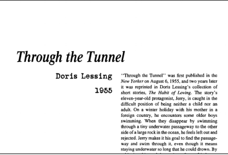 نقد داستان کوتاه Through the Tunnel by Doris Lessing