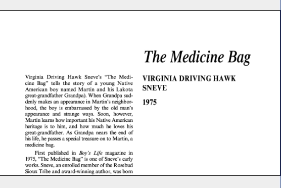 نقد داستان کوتاه The Medicine Bag by Virginia Driving Hawk Sneve