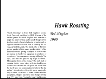 نقد شعر Hawk Roosting by Ted Hughes