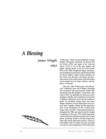 نقد شعر    A Blessing by James Wright