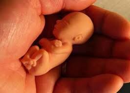 بررسي احكام سقط جنين يا سقط حمل