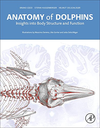Anatomy of Dolphins. Insights Into Body Structure and Function