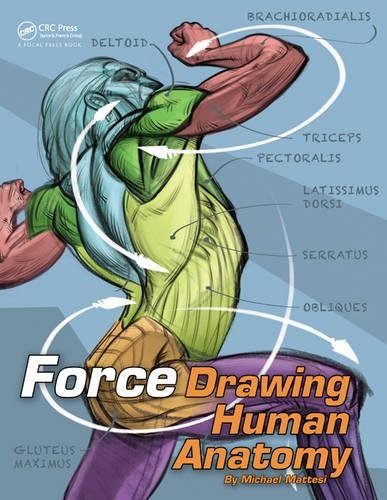 Force. Drawing human anatomy