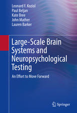 Large-Scale Brain Systems and Neuropsychological Testing: An Effort to Move Forward