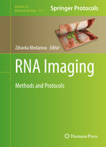 RNA Imaging: Methods and Protocols