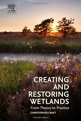 Creating and restoring wetlands : from theory to practice