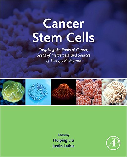 Cancer Stem Cells. Targeting the Roots of Cancer, Seeds of Metastasis, and Sources of Therapy Resistance