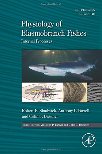 Physiology of Elasmobranch Fishes: Internal Processes