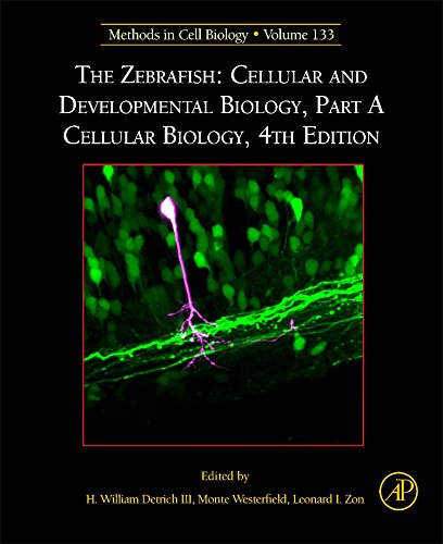 The Zebrafish Cellular and Developmental Biology, Part A Cellular Biology