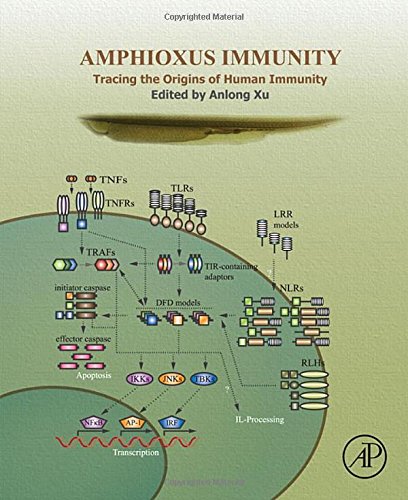 Amphioxus immunity : tracing the origins of human immunity