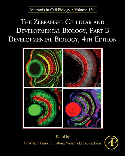 The Zebrafish Cellular and Developmental Biology, Part B Developmental Biology