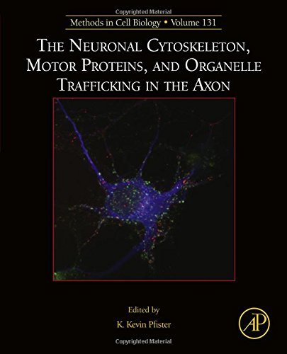 The neuronal cytoskeleton, motor proteins, and organelle trafficking in the axon