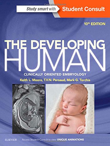 The Developing Human: Clinically Oriented Embryology, 10e