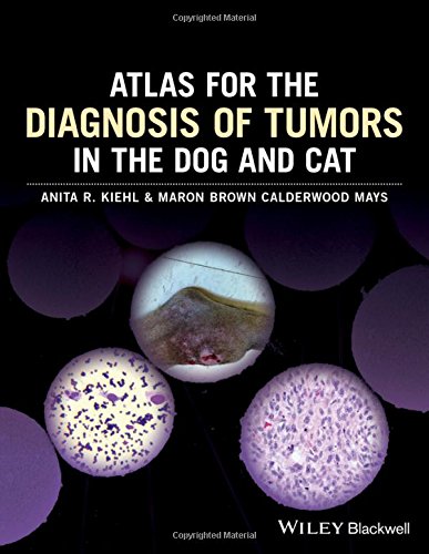 Atlas for the diagnosis of tumors in the dog and cat