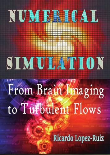 Numerical Simulation: From Brain Imaging to Turbulent Flows