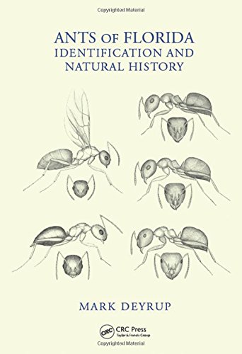 Ants of Florida: identification and natural history
