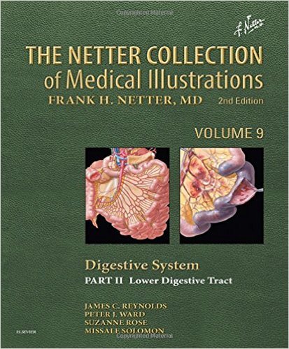 The Netter Collection of Medical Illustrations: Digestive System: Part II - Lower Digestive Tract