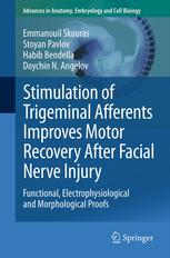 Stimulation of Trigeminal Afferents Improves Motor Recovery After Facial Nerve Injury: Functional, Electrophysiological and Morphological Proofs