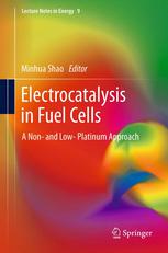 Electrocatalysis in Fuel Cells: A Non- and Low- Platinum Approach