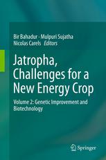 Jatropha, Challenges for a New Energy Crop: Volume 2: Genetic Improvement and Biotechnology