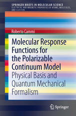 Molecular Response Functions for the Polarizable Continuum Model: Physical basis and quantum mechanical formalism