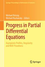 Progress in Partial Differential Equations: Asymptotic Profiles, Regularity and Well-Posedness