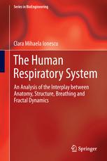 The Human Respiratory System: An Analysis of the Interplay between Anatomy, Structure, Breathing and Fractal Dynamics