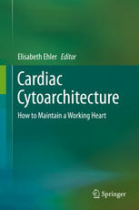 Cardiac Cytoarchitecture: How to Maintain a Working Heart