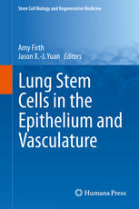 Lung Stem Cells in the Epithelium and Vasculature