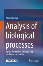 Analysis of biological processes: Verbal description, schemes, and mathematical models