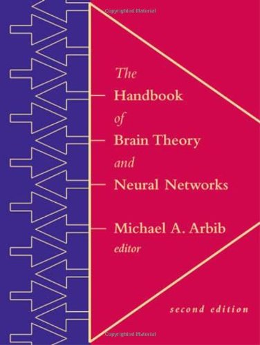 Handbook of brain theory and neural networks