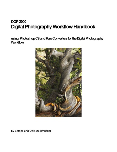 DOP 2000 Digital Photography Workflow Handbook - using Photoshop CS and Raw Converters for the Digital Photography Workflow  Bettina and Uwe Steinmuel