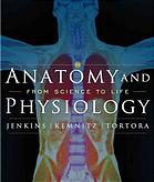 Anatomy and physiology : from science to life