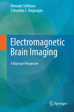 Electromagnetic Brain Imaging: A Bayesian Perspective