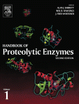 Handbook of Proteolytic Enzymes. Aspartic and Metallo Peptidases