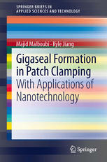 Gigaseal Formation in Patch Clamping: With Applications of Nanotechnology
