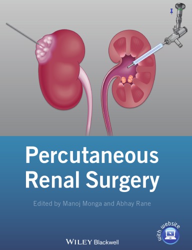Percutaneous renal surgery