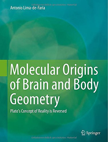 Molecular Origins of Brain and Body Geometry: Platos Concept of Reality is Reversed