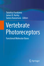 Vertebrate Photoreceptors: Functional Molecular Bases