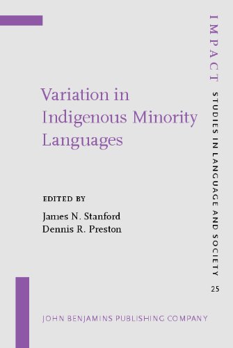 Variation in Indigenous Minority Languages (Impact: Studies in Language and Society)