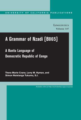 A Grammar of Nzadi B865 : A Bantu language of Democratic Republic of Congo