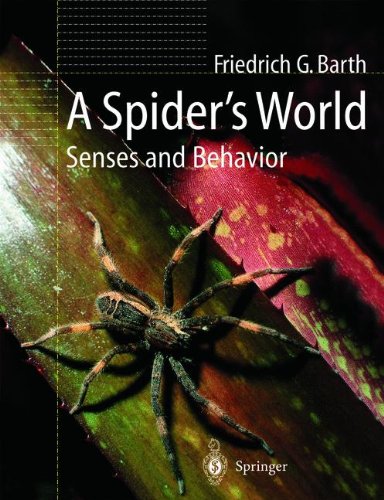A Spiders World: Senses and Behavior