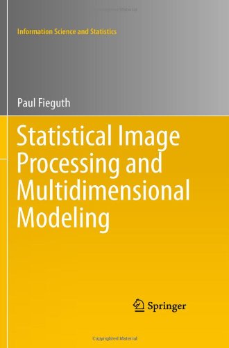 Statistical Image Processing and Multidimensional Modeling
