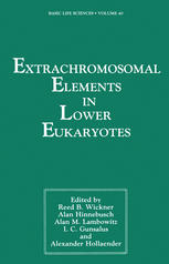 Extrachromosomal Elements in Lower Eukaryotes