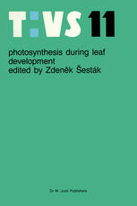 Photosynthesis during leaf development